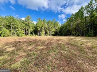 5474 Pollett Rd, Bartow, GA 30413