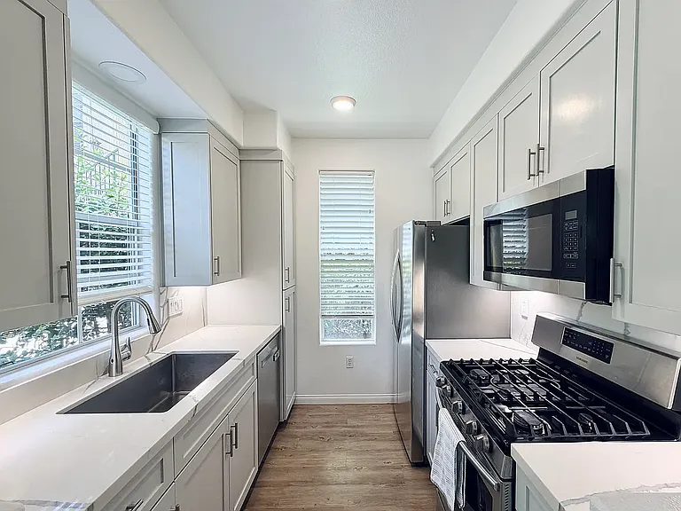 Modern stainless steel appliances and quartzite countertops