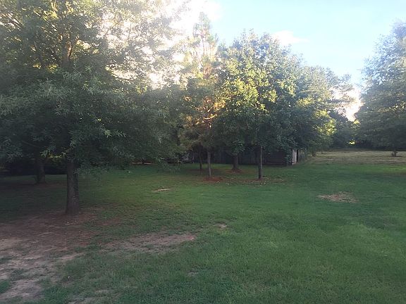 View from Back Porch
