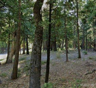 3827 Apache Rd, Arnold, CA, 95223