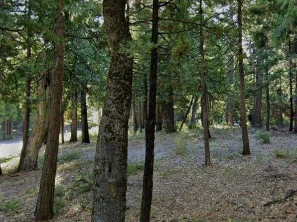 3827 Apache Rd, Arnold, CA 95223