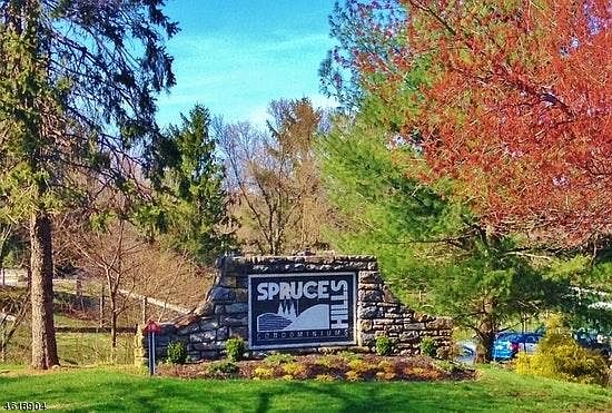 Spruce Hills