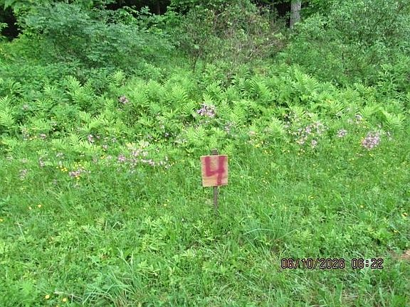 4th image of LOT 4 Anderson Rd