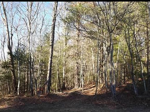 4th image of Land Lot 51 Of Union County