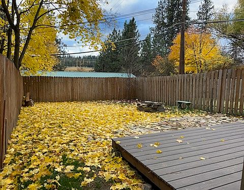 Large fenced rear yard