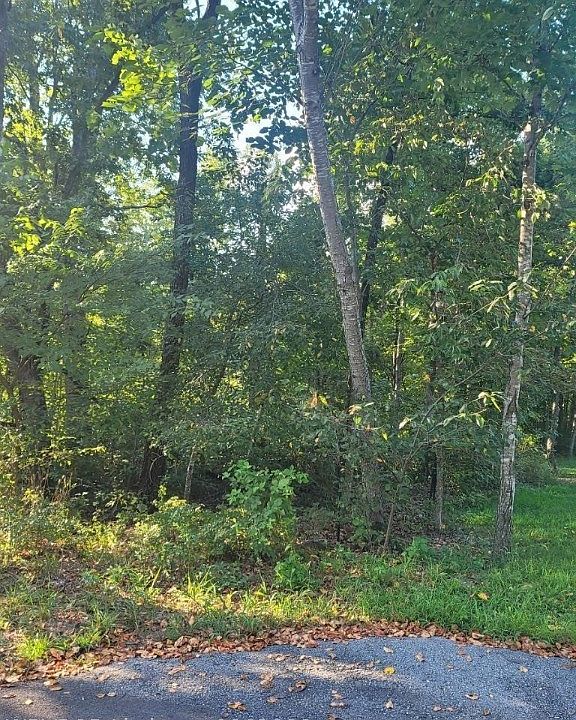 2nd image of 7 Selland Ln
