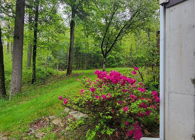 45 Laurel Hollow Ests — Photo 5
