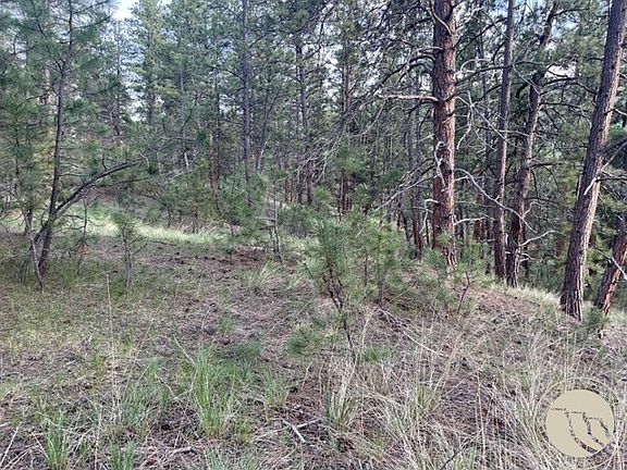 3rd image of 17 Skibstad Rd