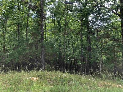 (Undisclosed Address), Williford, AR, 72482