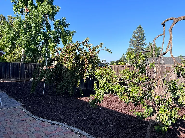 11138 Sutherland Ave — Photo 16