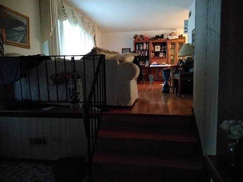 4th image of 4911 Crest Ct