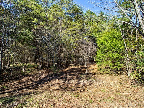 5th image of 319 Gadusi Ln Lot 13