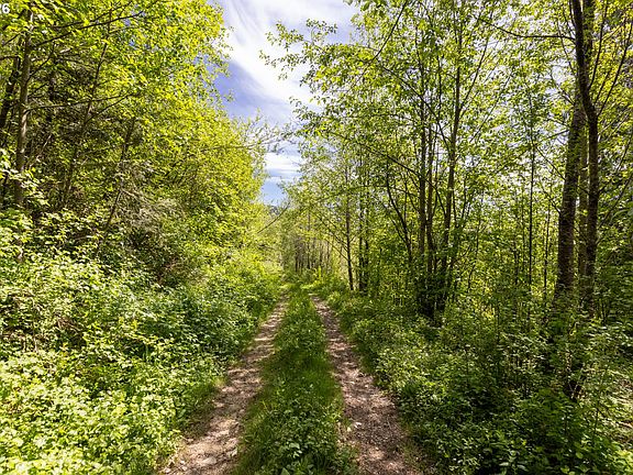 4th image of Snag Mountain Rd