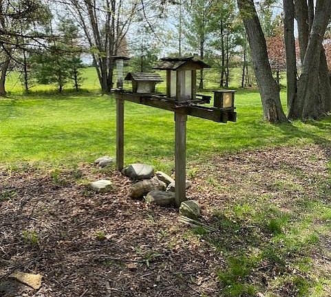 Bird Feeders in the Yard. This is the grassy area that is part of the property it is to the left of the driveway.