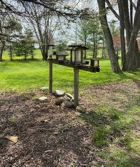Bird Feeders in the Yard. This is the grassy area that is part of the property it is to the left of the driveway.