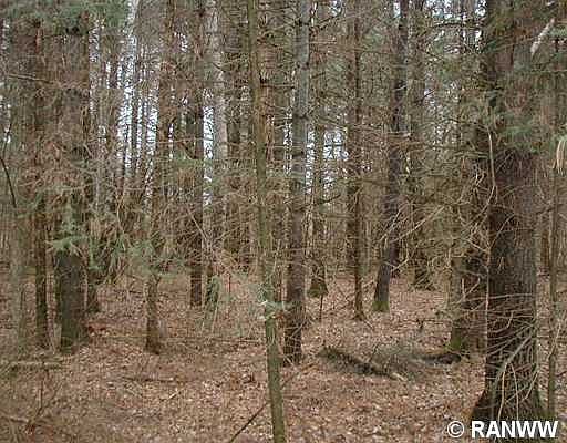 5th image of 3697 N Strom Road