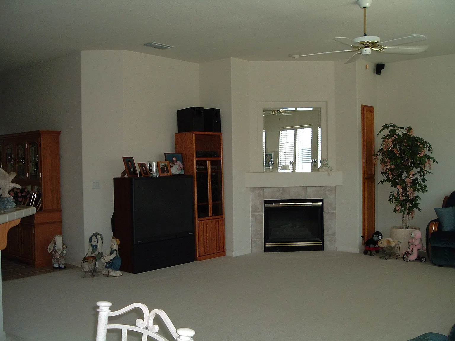 1142 Halidon Way photo 1