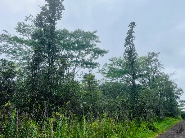 Road 10 Poouli Lot 5725, Kurtistown, HI 96760