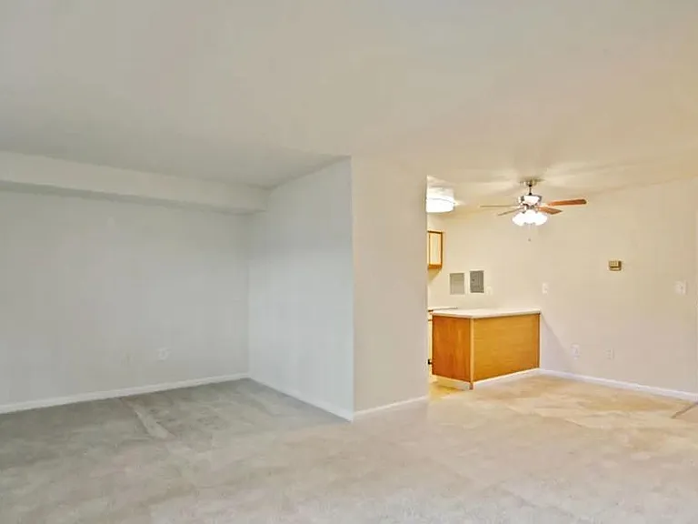 1A Living Room and Kitchen