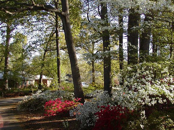 Front drive in spring