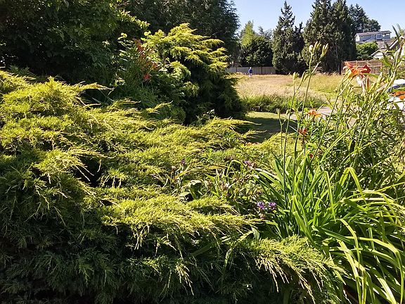 3rd image of 6298 105th Ave NE