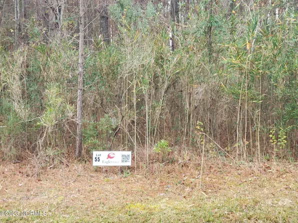 Lot 55 Eagle Nest Trail, Blounts Creek, NC 27814