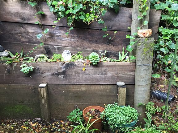Retaining wall garden outside cottage front door
