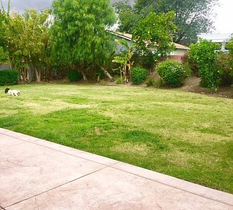 Backyard - Great for Kids!!