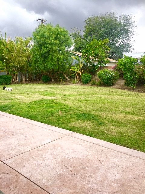Backyard - Great for Kids!!
