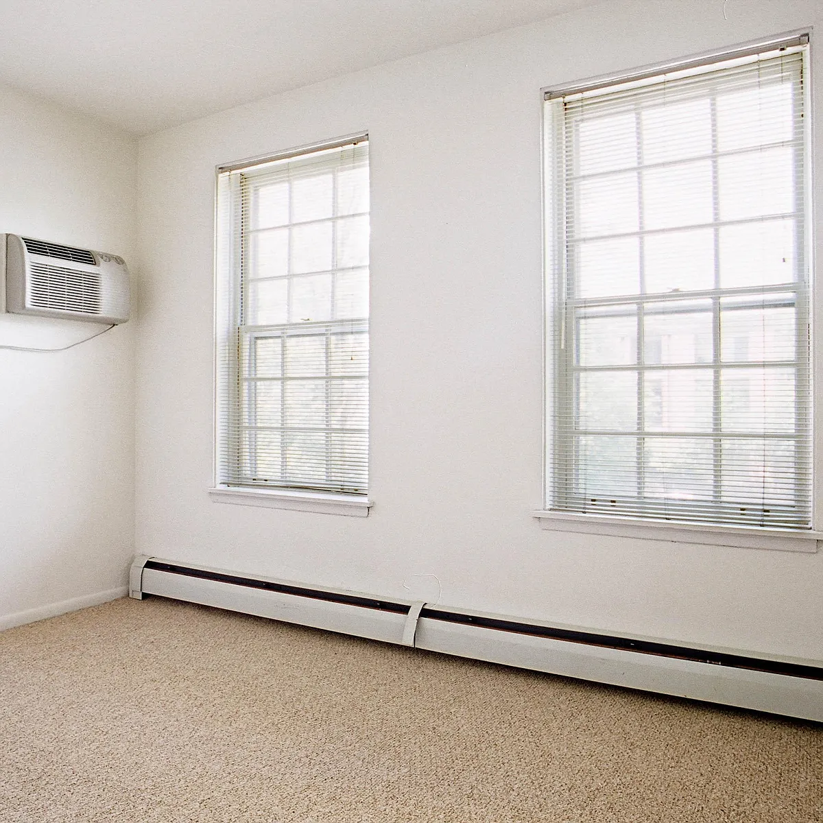 Building Photo - 261 Shady Ave #21