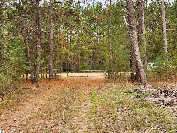 0 Niemi Rd, Kaleva, MI 49645