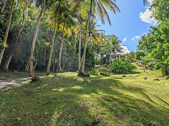 2nd image of Lote 142 COLINAS DE LUQUILLO