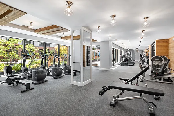 Rented by Douglas Elliman | media 93