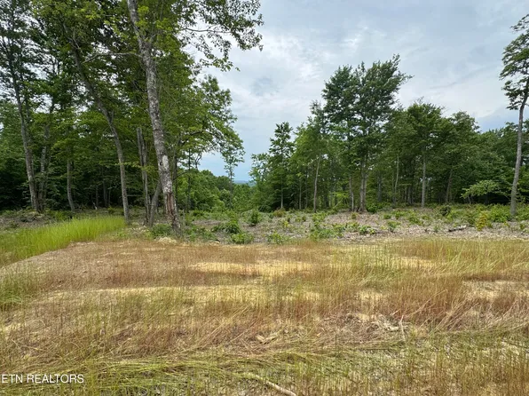 Sheep Ranch Rd, Robbins, TN 37852