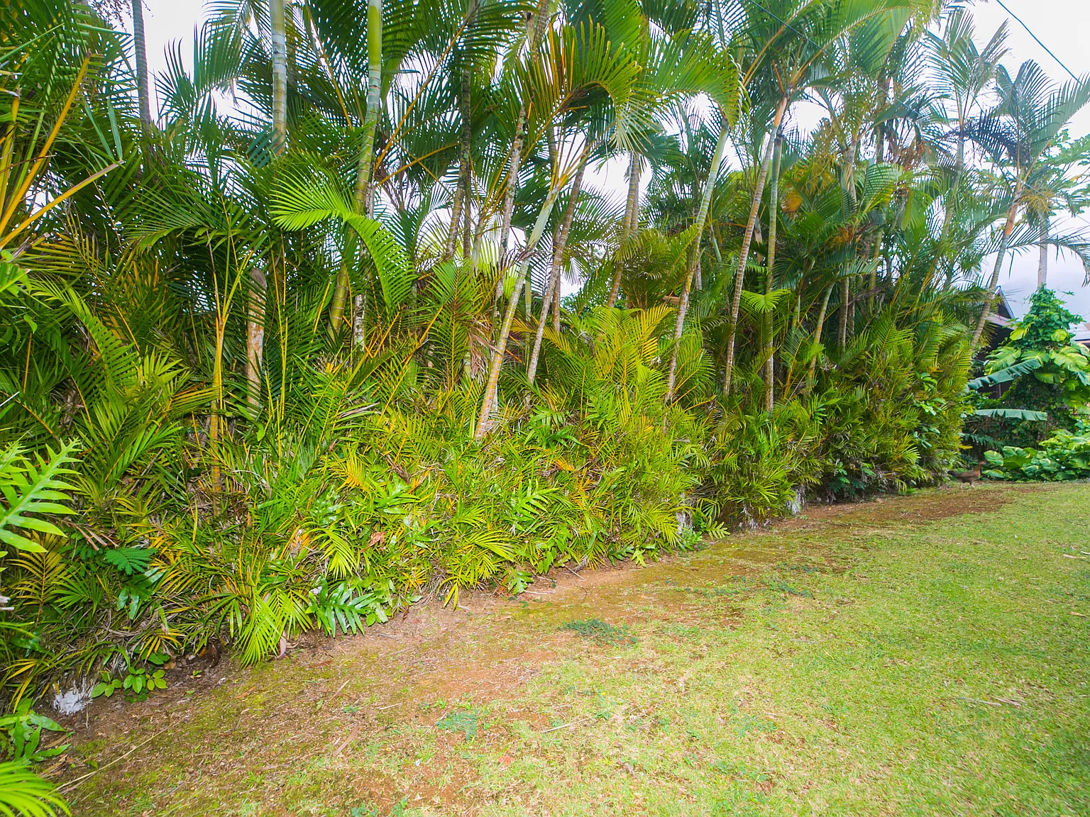 Studio, 380 sqft, $1,700 — Photo 2