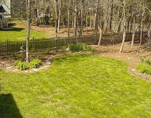 Half of backyard