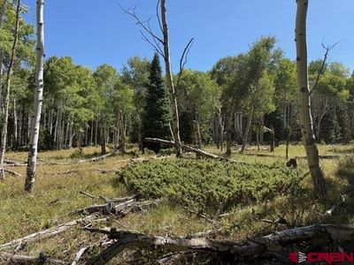 121 Ridge Road, Cimarron, CO, 81220