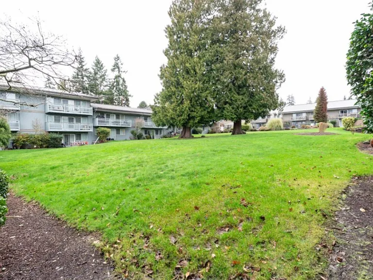COURTYARD APTS-MUKILTEO — Photo 8