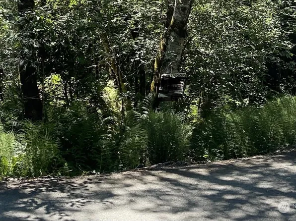 0 Lot 261 Osborn Road, Eatonville, WA 98328
