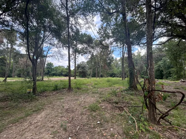 Highway 110 Tract #2, Merryville, LA 70653