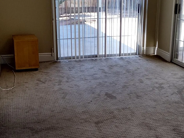 8622 Somerset Ave — Photo 16