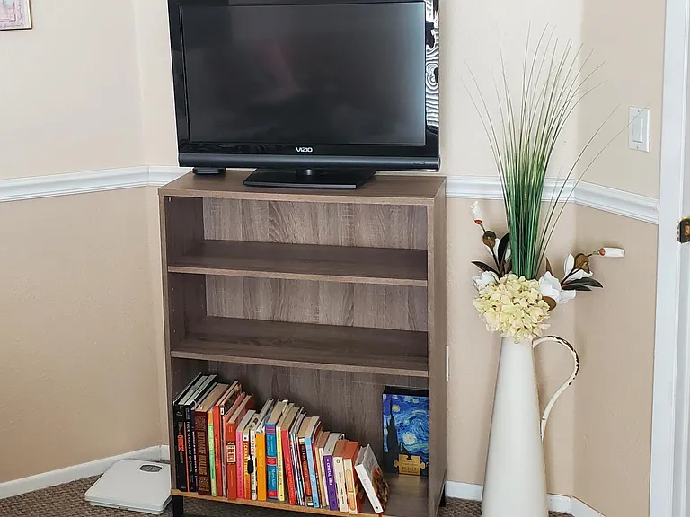 TV and book shelves