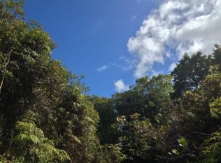 Lot 2 Maui St, Mountain View, HI 96771