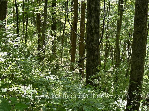 5th image of 0 Hoyt Ridge Rd
