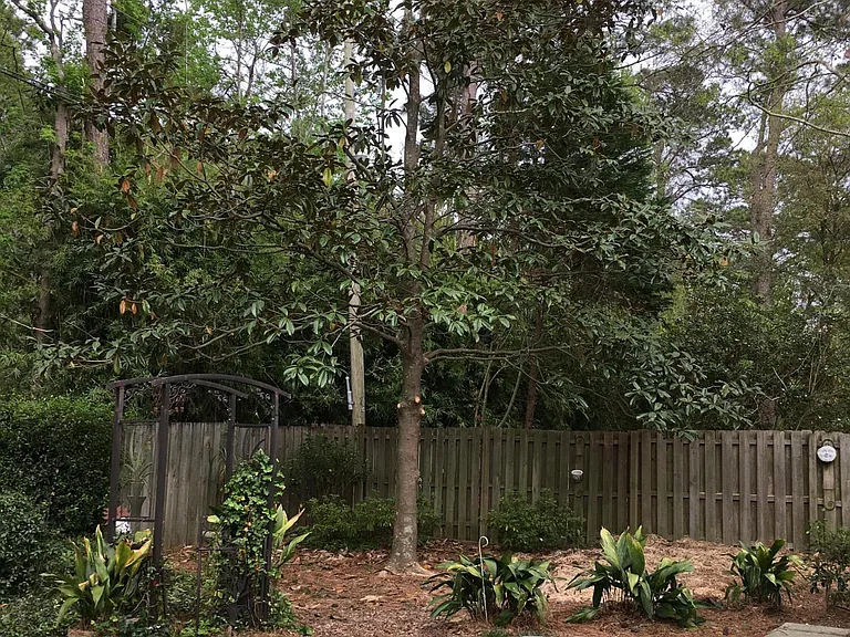 1124 Honeysuckle Ct — Photo 16