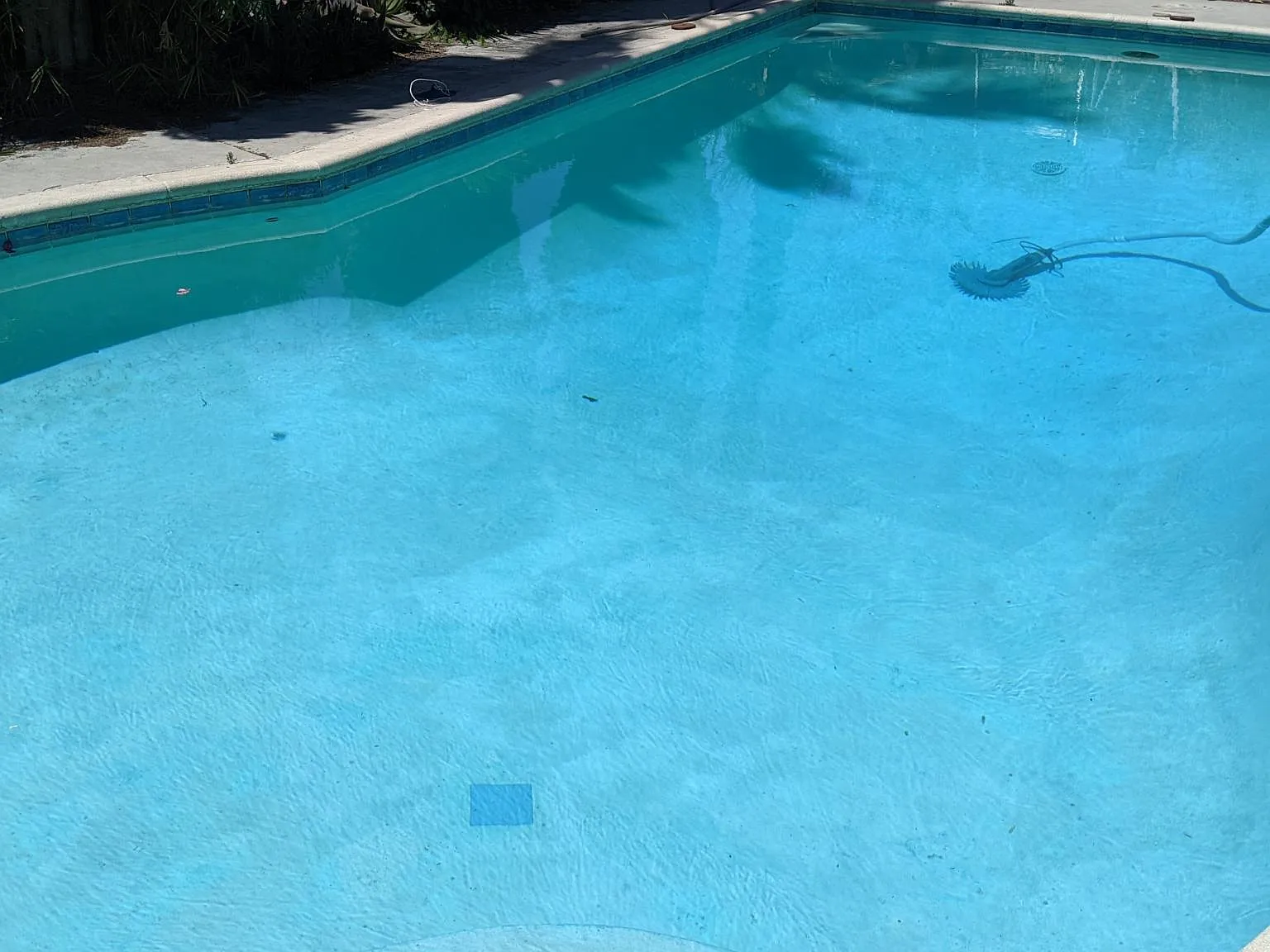 2 bed, $1,100 — Photo 3