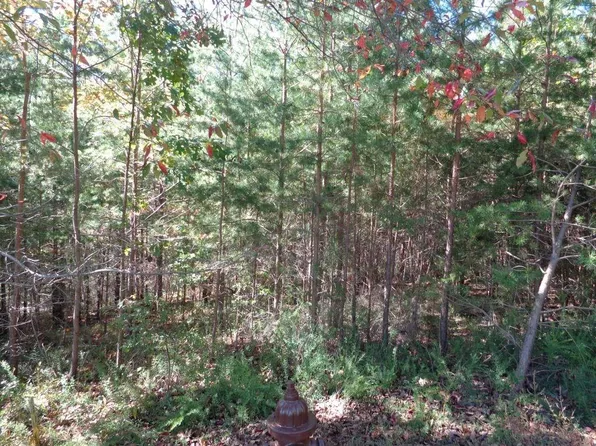 2474 Wedgewood Dr #2474, Jasper, GA 30143