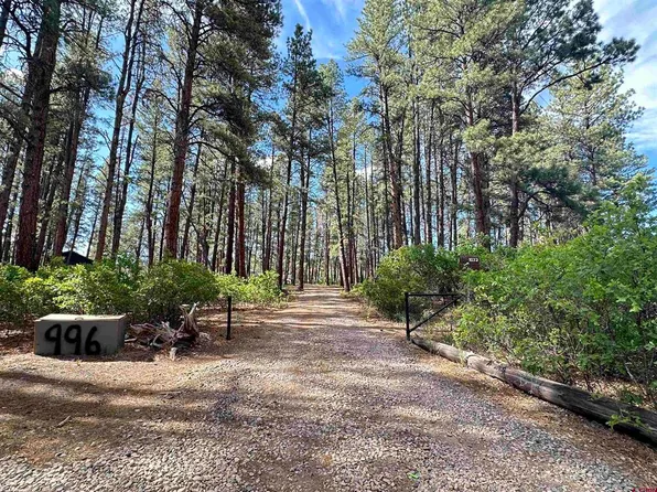 996 & 1032 Raccoon Drive, Pagosa Springs, CO 81147