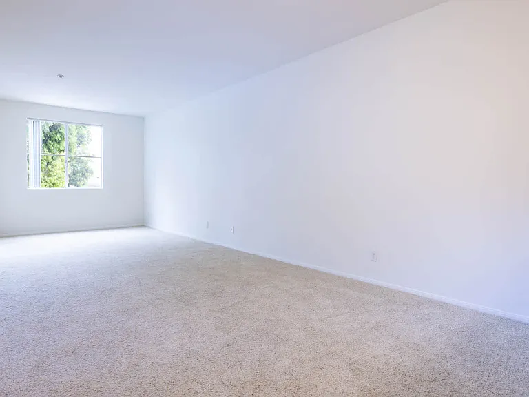 Carpeted Living Room