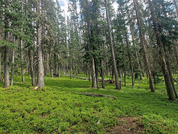 3rd image of Lot 6542 Schlueter Road LOT 6542